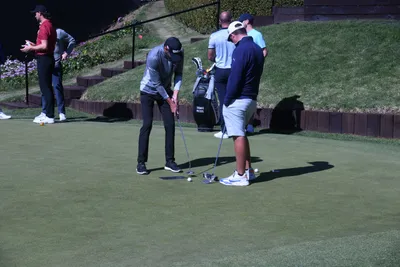 DSC_0748 (Large).JPG